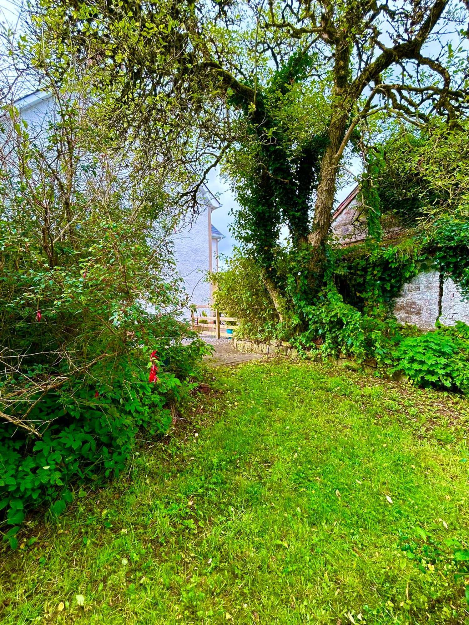 Lime Tree House Villa Maguires Bridge Kültér fotó